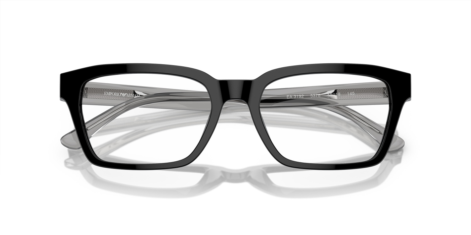 EMPORIO ARMANI EA3192 5378 53