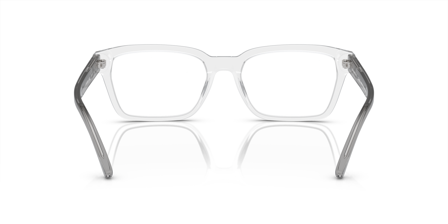 EMPORIO ARMANI EA3192 5883 55