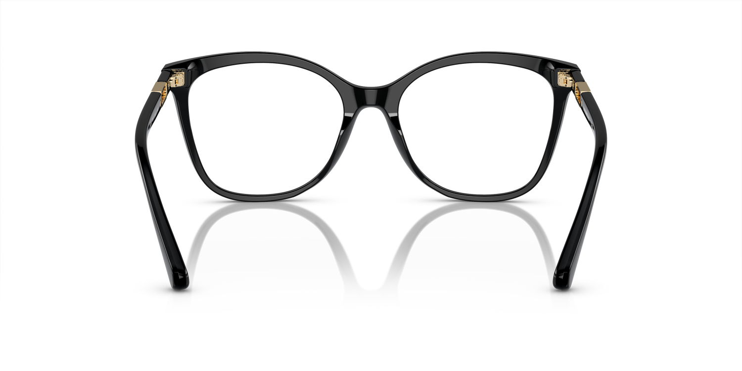 EMPORIO ARMANI EA3231 5017 54