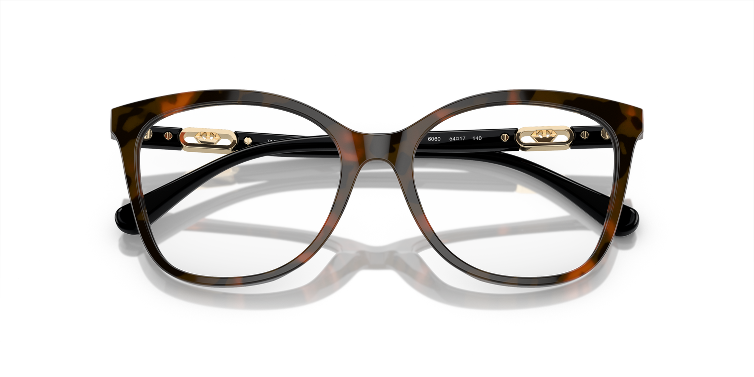 EMPORIO ARMANI EA3231 6060 54