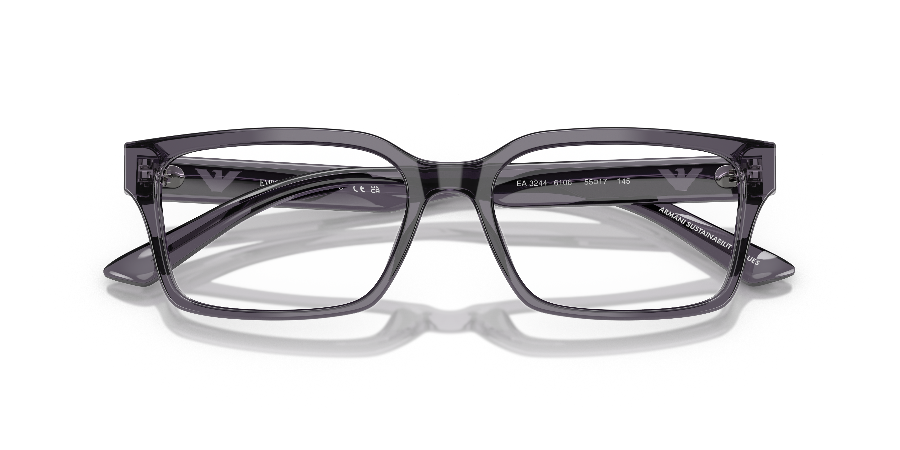 EMPORIO ARMANI EA3244 6106 55