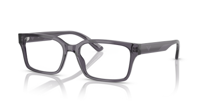 EMPORIO ARMANI EA3244 6106 55
