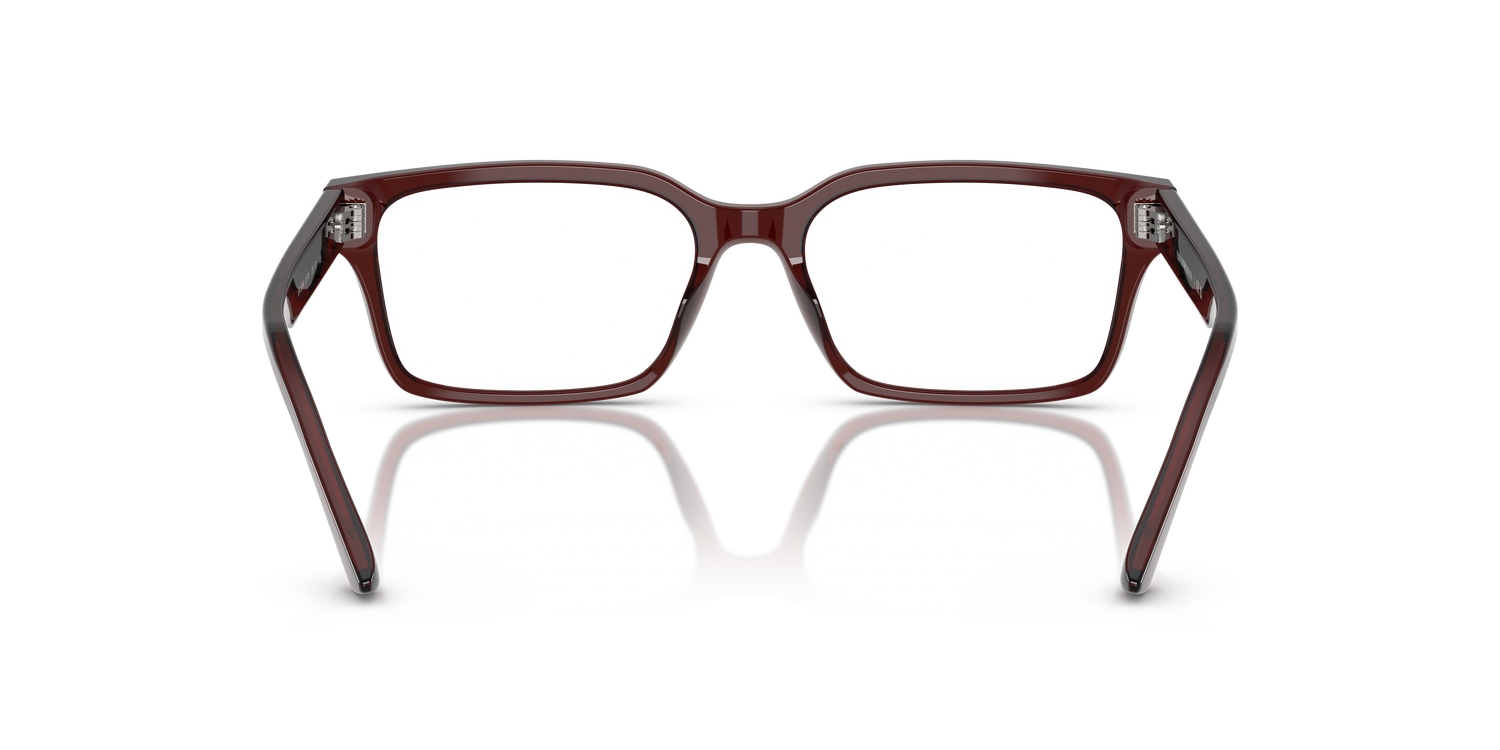 EMPORIO ARMANI EA3244 6174 55