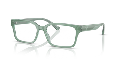 EMPORIO ARMANI EA3244 6176 55