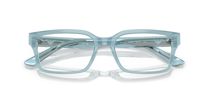 EMPORIO ARMANI EA3244 6178 55