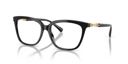 EMPORIO ARMANI EA3248 5017 55