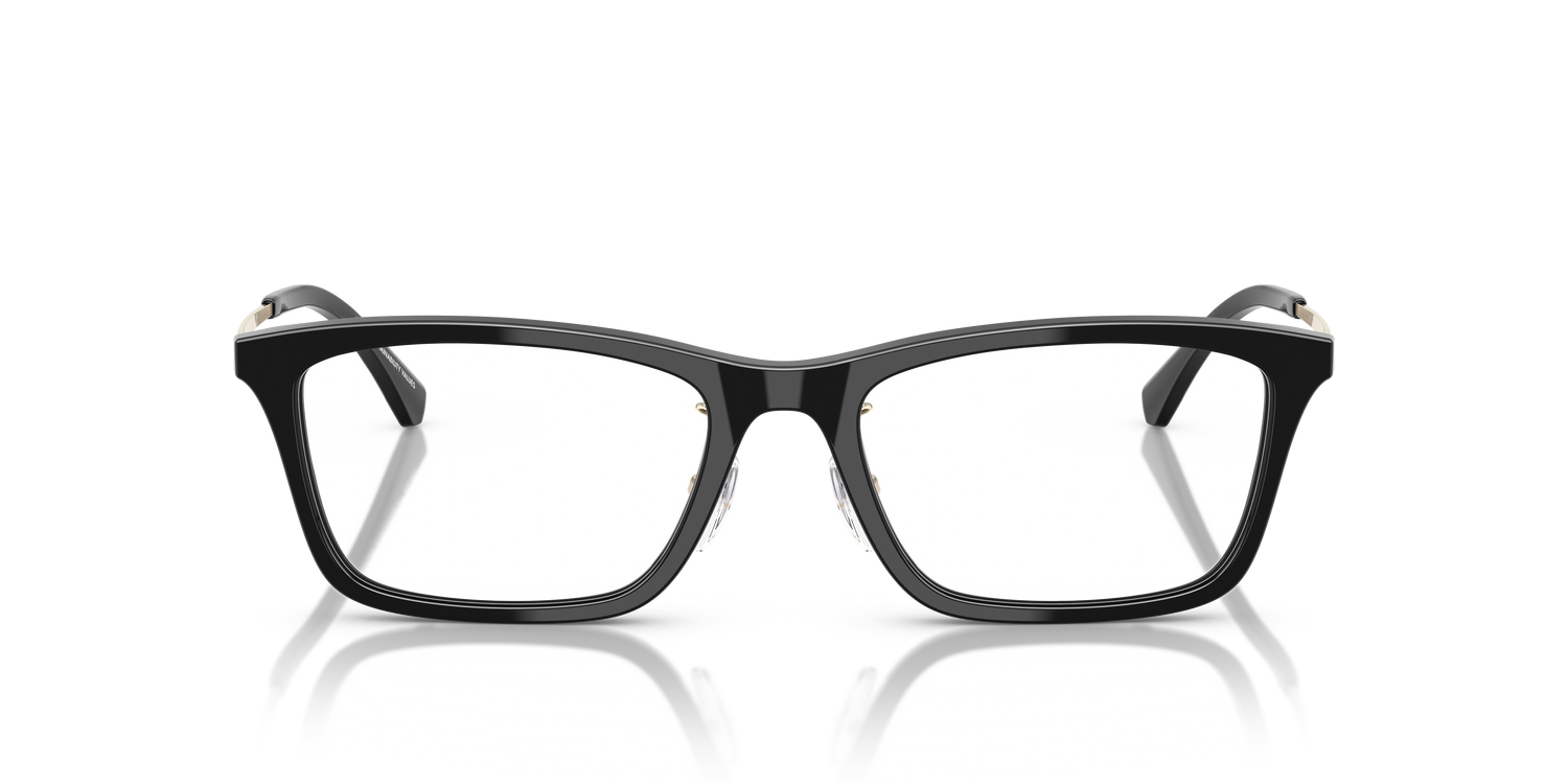 EMPORIO ARMANI EA3252D 5017 54