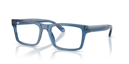 EMPORIO ARMANI EA3254 6247 54