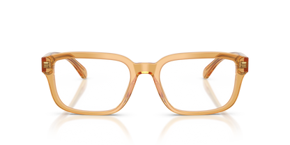 EMPORIO ARMANI EA3255 6246 53