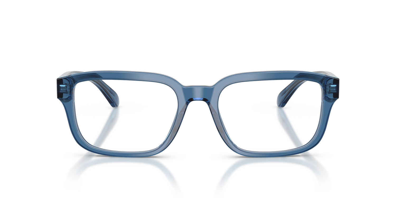 EMPORIO ARMANI EA3255 6247 55