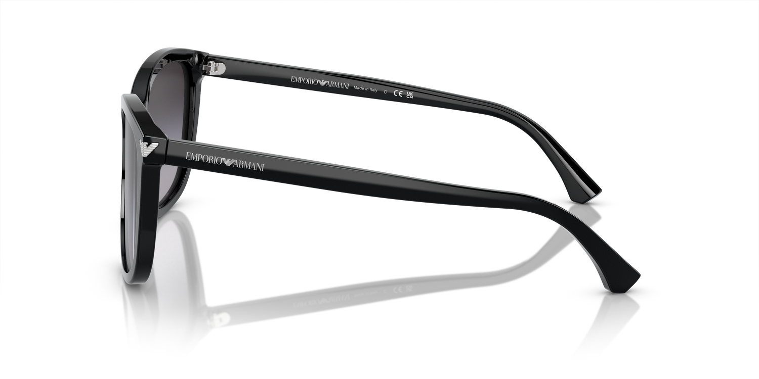 EMPORIO ARMANI EA4060 50178G 56