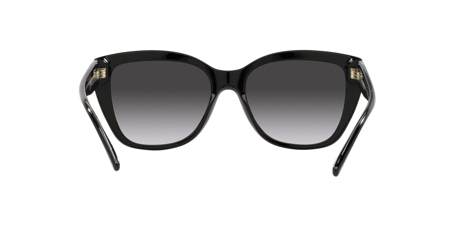 EMPORIO ARMANI EA4198 50178G 55