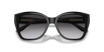EMPORIO ARMANI EA4198 50178G 55