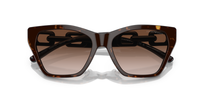 EMPORIO ARMANI EA4203U 502613 55