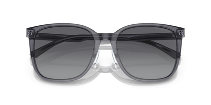 EMPORIO ARMANI EA4206D 5029T3 57