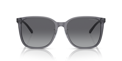 EMPORIO ARMANI EA4206D 5029T3 57