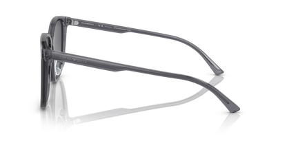 EMPORIO ARMANI EA4206D 5029T3 57