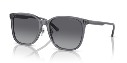 EMPORIO ARMANI EA4206D 5029T3 57