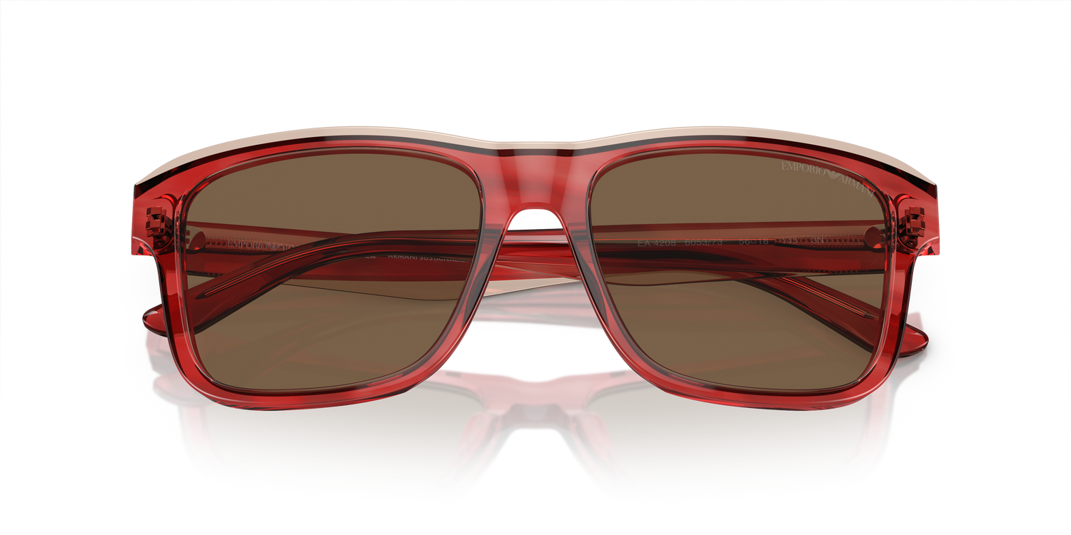 EMPORIO ARMANI EA4208 605373 56