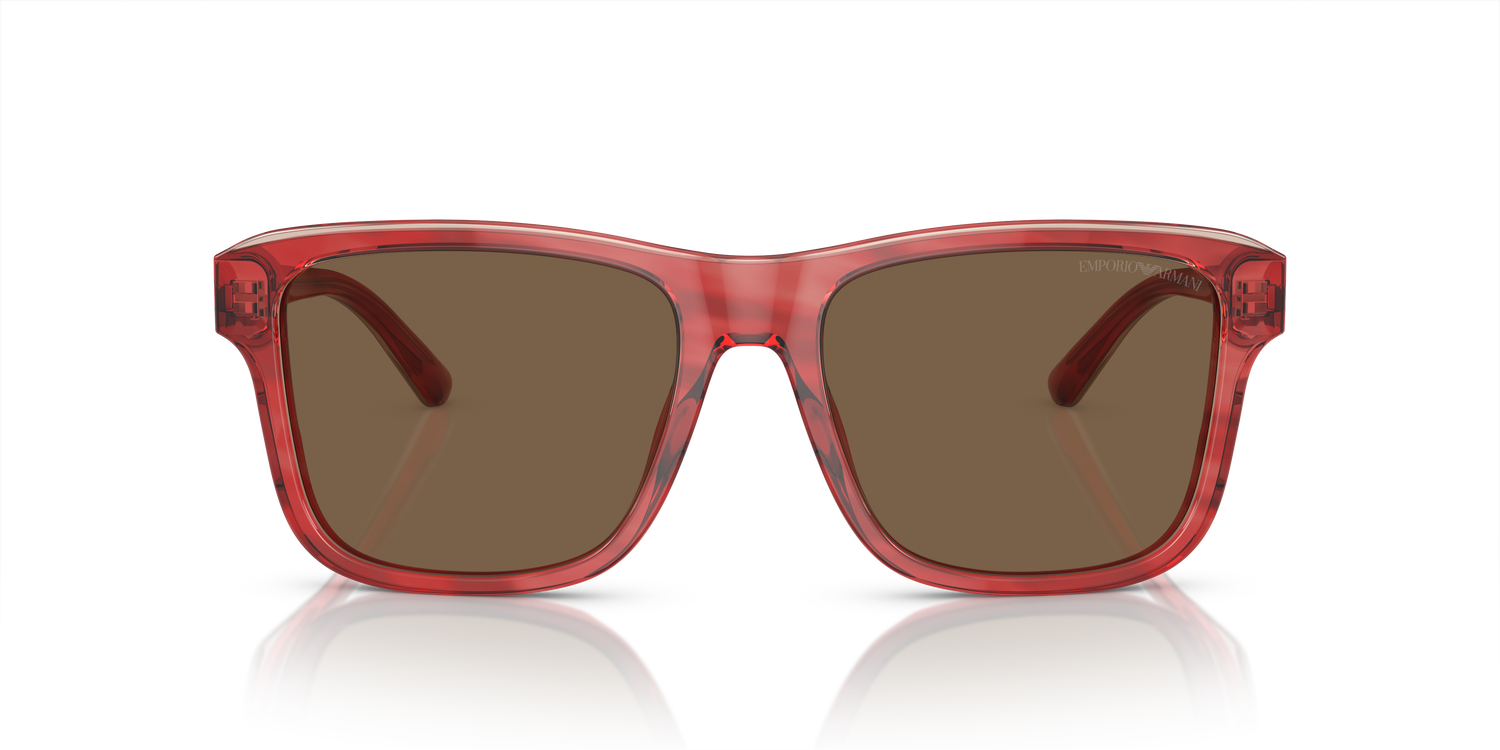 EMPORIO ARMANI EA4208 605373 56