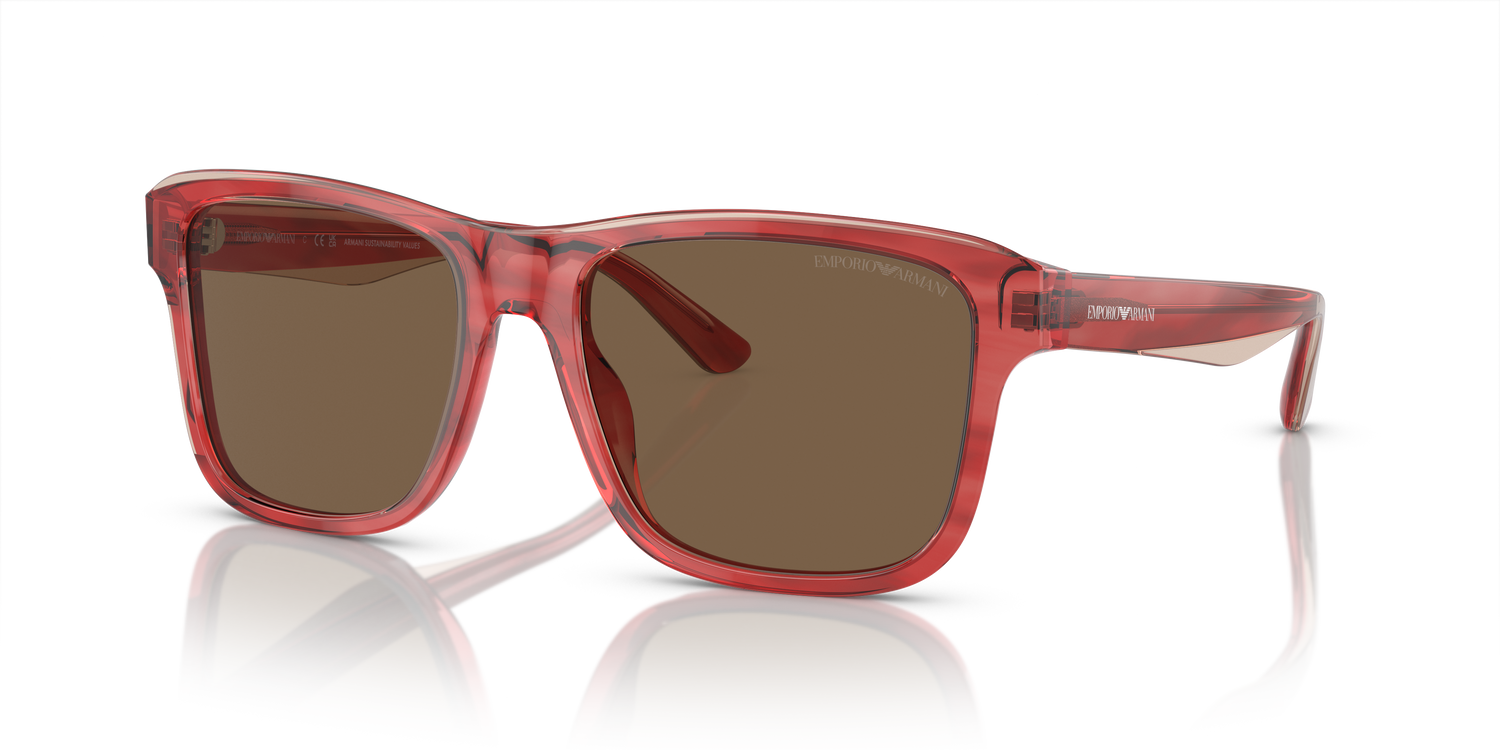 EMPORIO ARMANI EA4208 605373 56