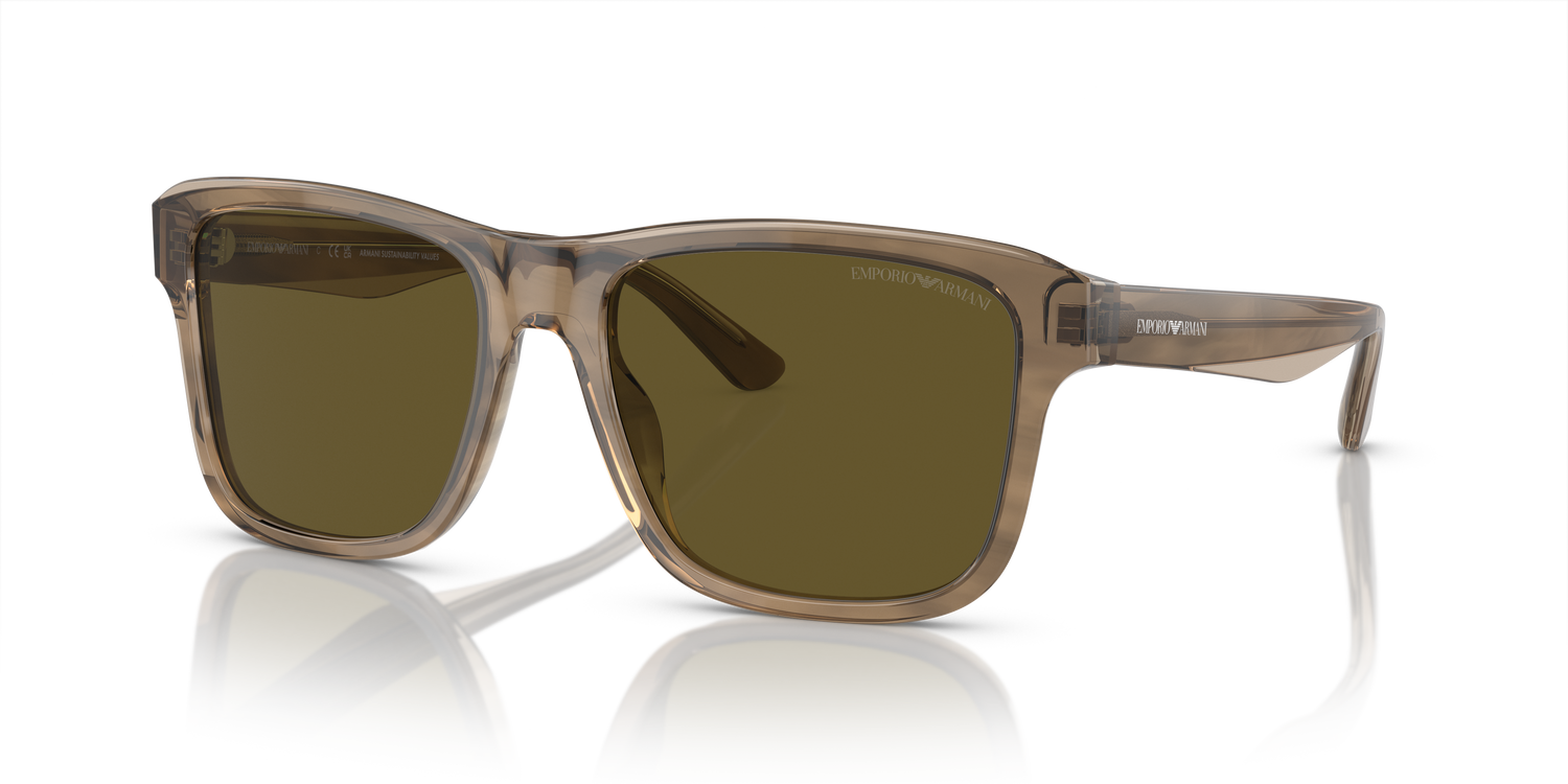 EMPORIO ARMANI EA4208 605573 56