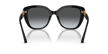 EMPORIO ARMANI EA4214U 50178G 54