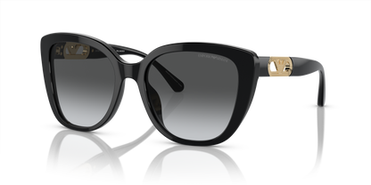 EMPORIO ARMANI EA4214U 50178G 54