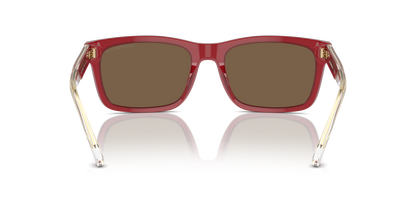 EMPORIO ARMANI EA4224 609373 57