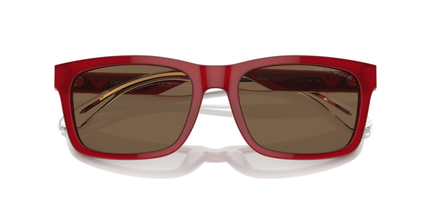 EMPORIO ARMANI EA4224 609373 57