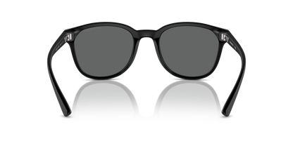 EMPORIO ARMANI EA4225U 500187 53 - 19