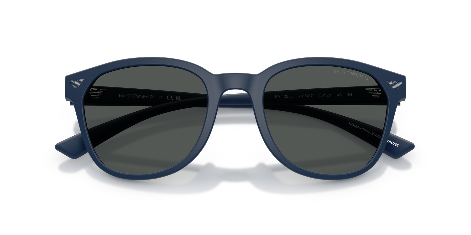 EMPORIO ARMANI EA4225U 618587 53