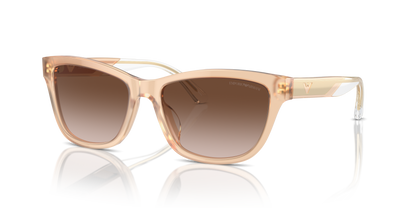 EMPORIO ARMANI EA4227U 609813 56