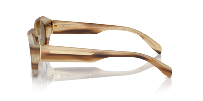 EMPORIO ARMANI EA4230U 615073 48