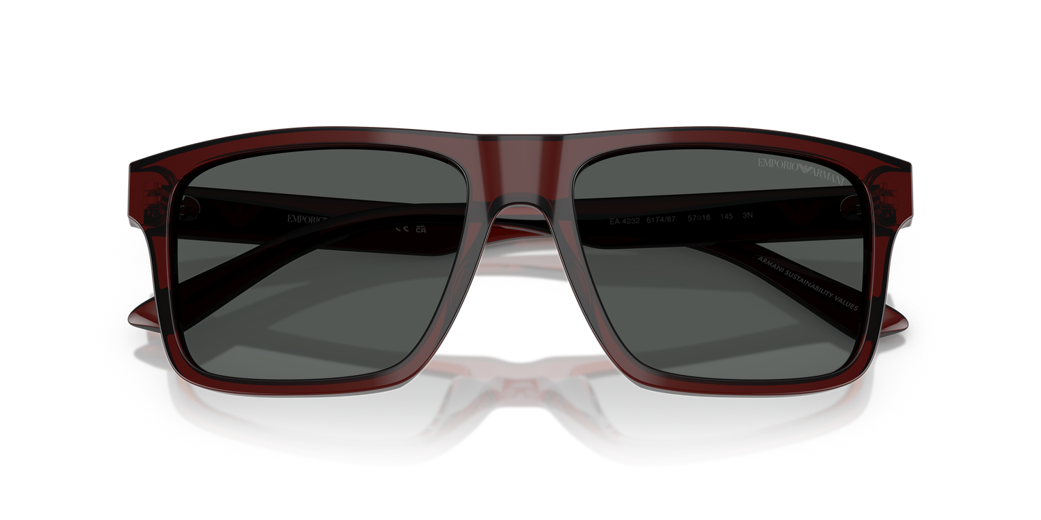 EMPORIO ARMANI EA4232 617487 57