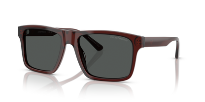 EMPORIO ARMANI EA4232 617487 57