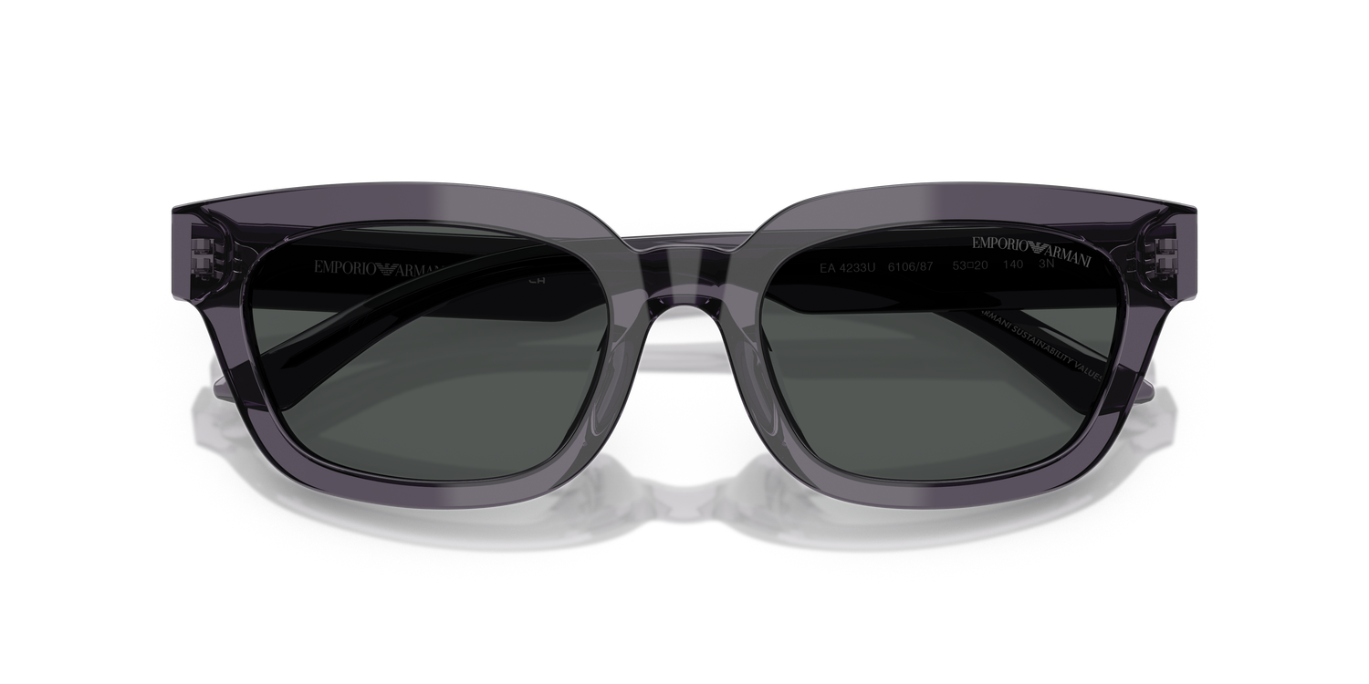 EMPORIO ARMANI EA4233U 610687 53