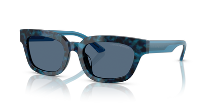 EMPORIO ARMANI EA4233U 618080 53