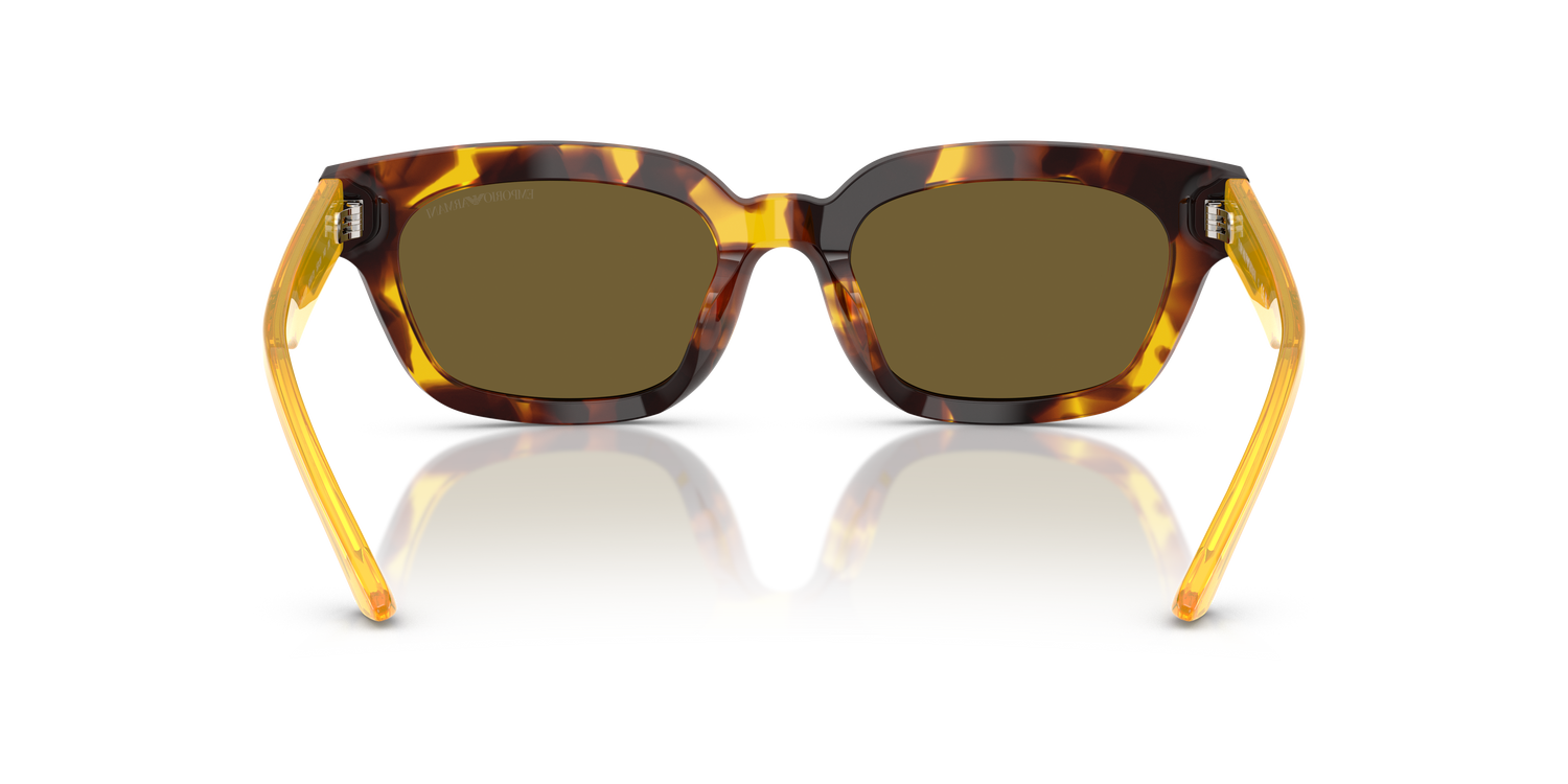 EMPORIO ARMANI EA4233U 618173 53