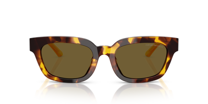 EMPORIO ARMANI EA4233U 618173 53