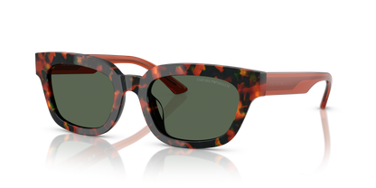 EMPORIO ARMANI EA4233U 618271 53