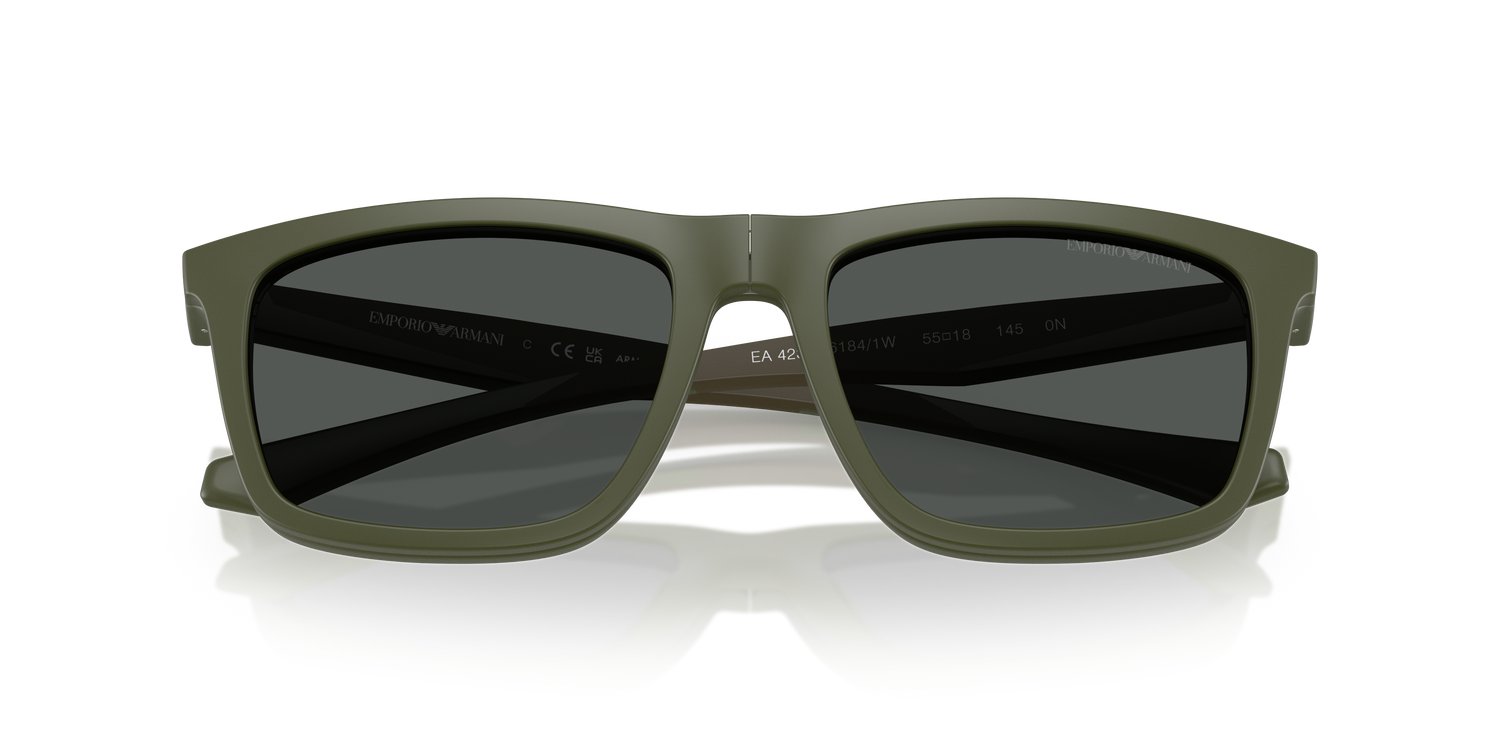 EMPORIO ARMANI EA4235 61841W 53