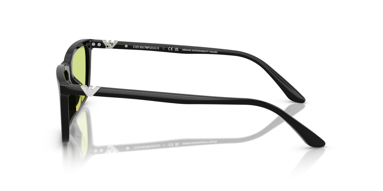 EMPORIO ARMANI EA4239U 5017/2 55