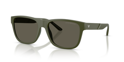 EMPORIO ARMANI EA4243 618471 56