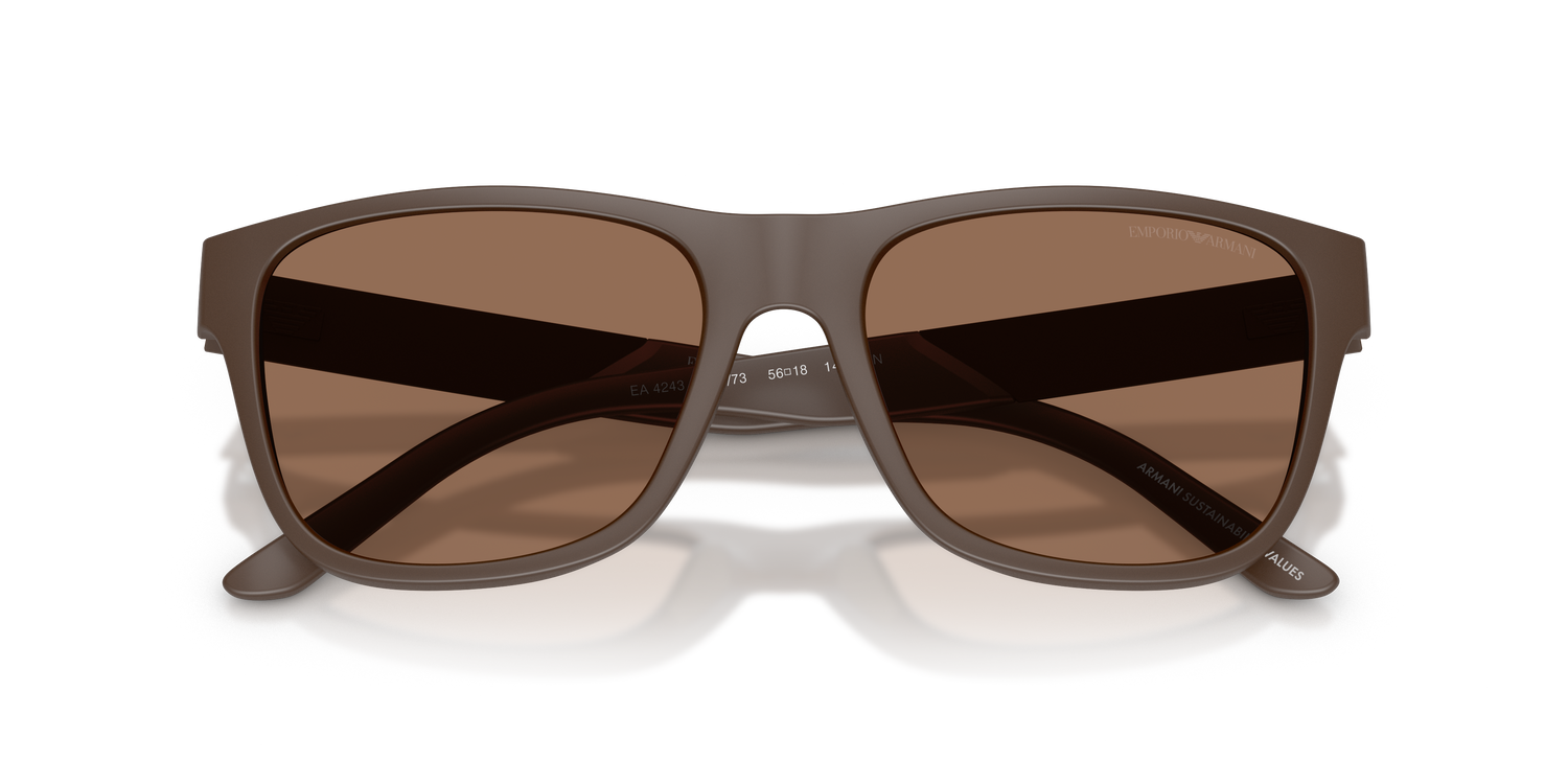 EMPORIO ARMANI EA4243 624373 56