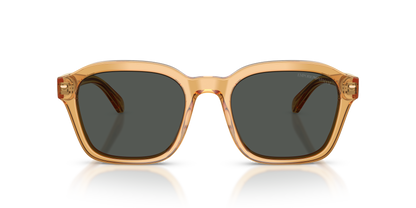 EMPORIO ARMANI EA4245U 624687 54