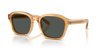 EMPORIO ARMANI EA4245U 624687 54