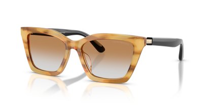 EMPORIO ARMANI EA4250U 62692Q 54