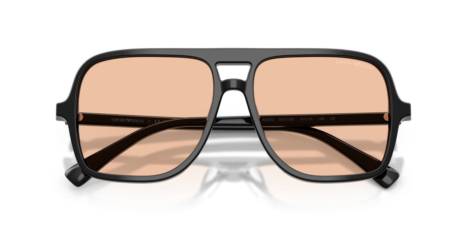 EMPORIO ARMANI EA4252U 501793 57