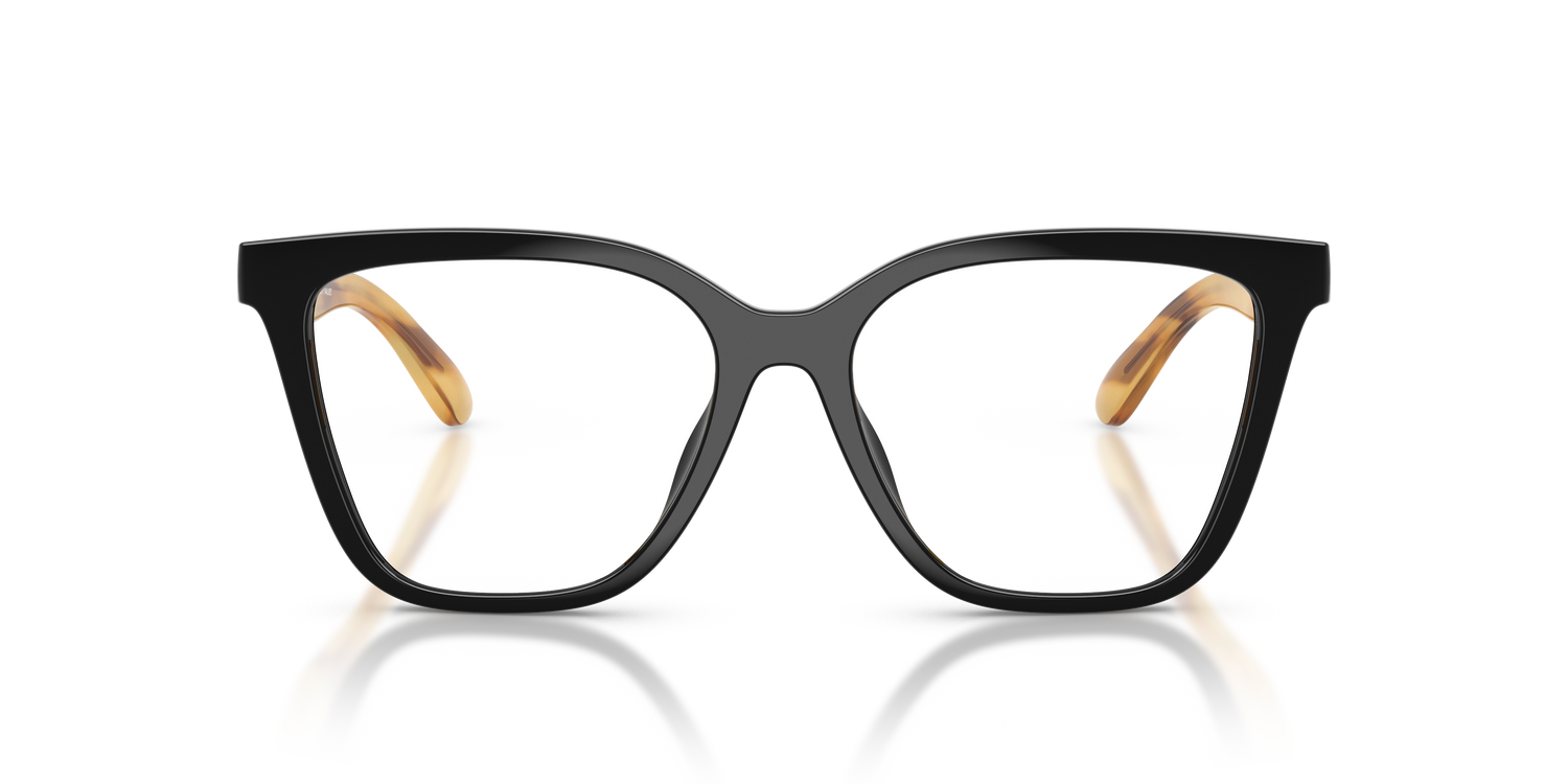 EMPORIO ARMANI EA4254U 62691W 52